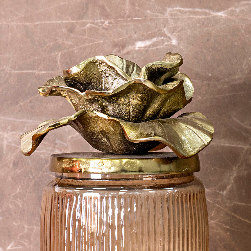 Aurum Dekoratif Kapsül Kavanoz Yaprak Kapağıyla, 30 cm, Çok Renkli