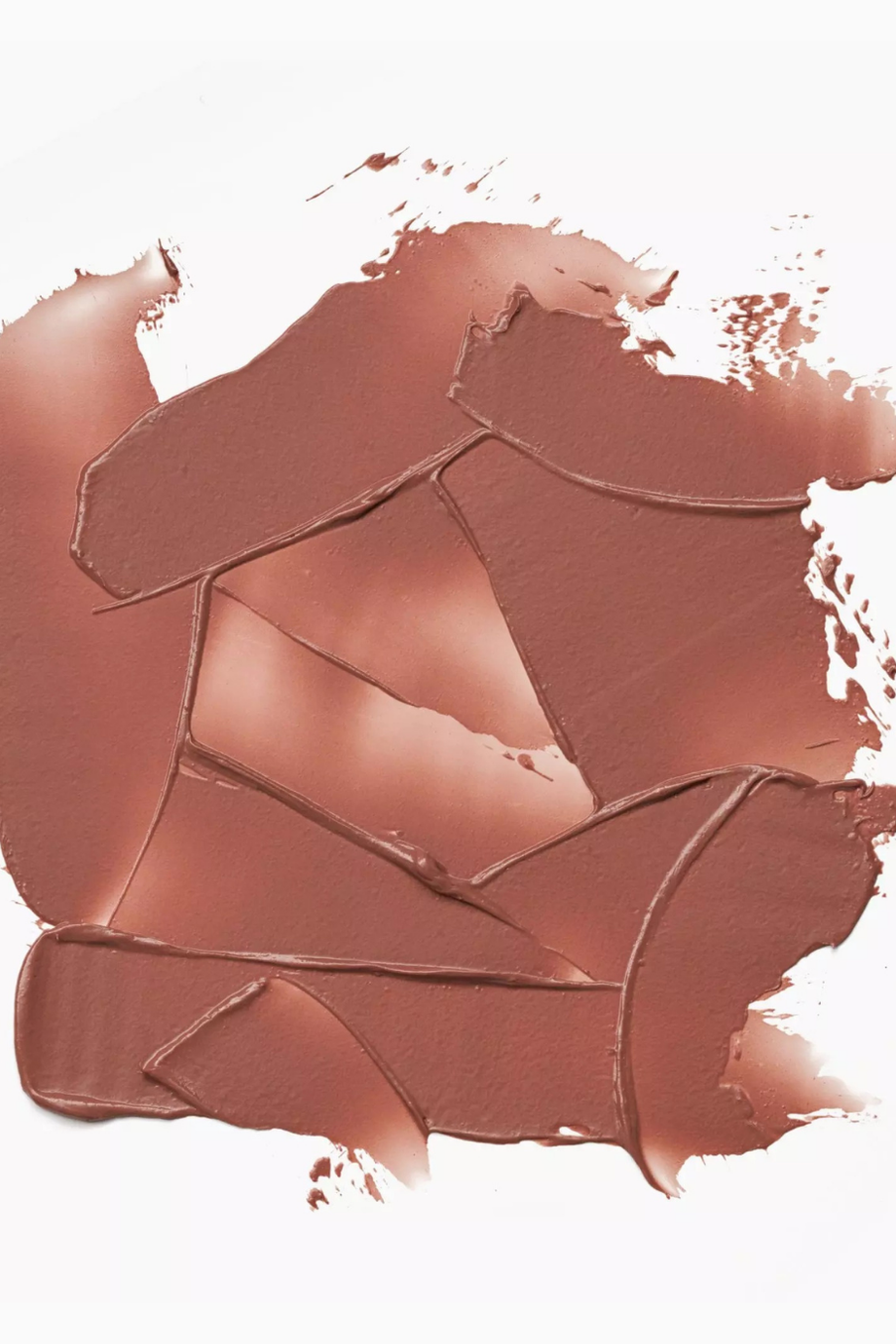 Renkli Dudak Balsamı Gül Ağacı Tonlu Shea Yağlı Nemlendirici 060 - Half Baked Cookies