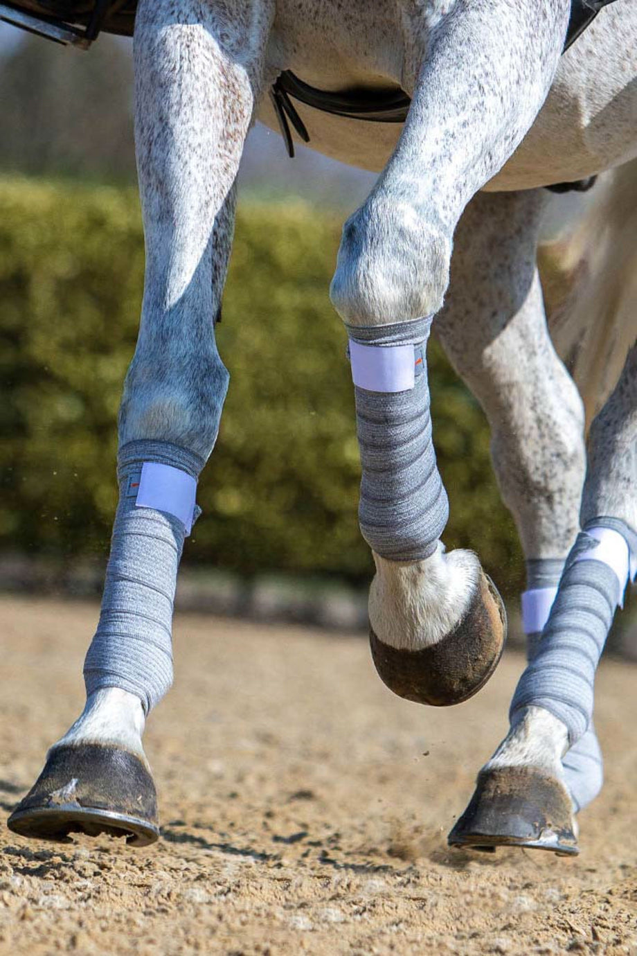 Equine Dolaşım Destekleyici At Bandajı