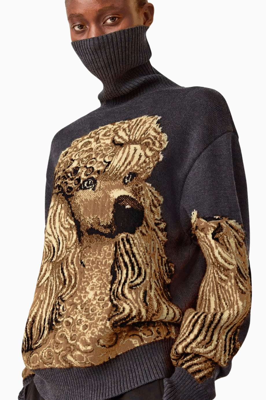 x Jeff Koons Poodle Jumper Kadın Triko