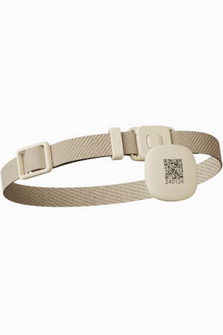 RFID Tasma Etiketi, PLAF301 ve PLWF305 Uyumlu