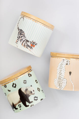 Küçük Kavanoz Paketi, Şık Porselen Saklama Kavanozu Seti