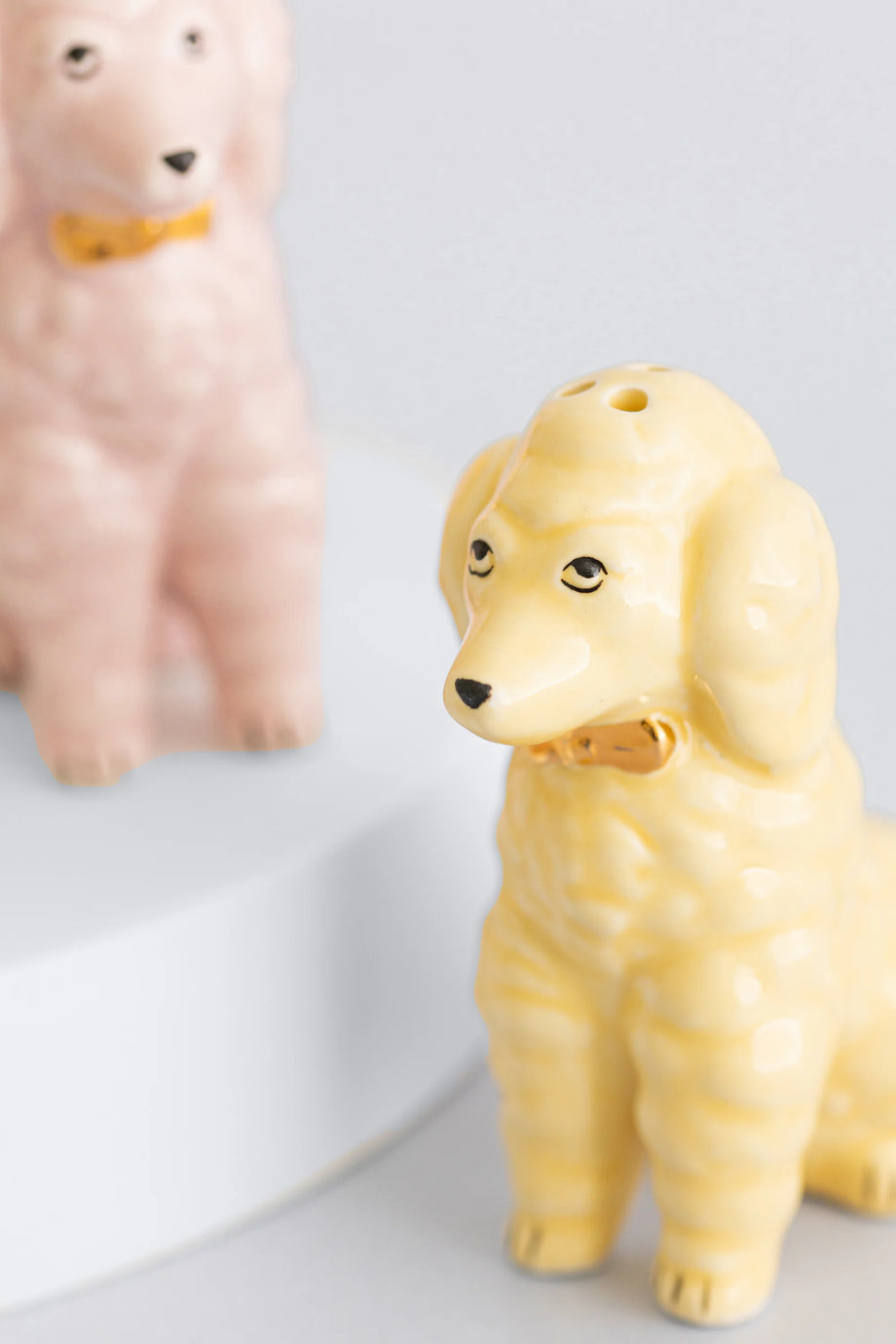 Pastel Poodle Tuz Ve Biberlik