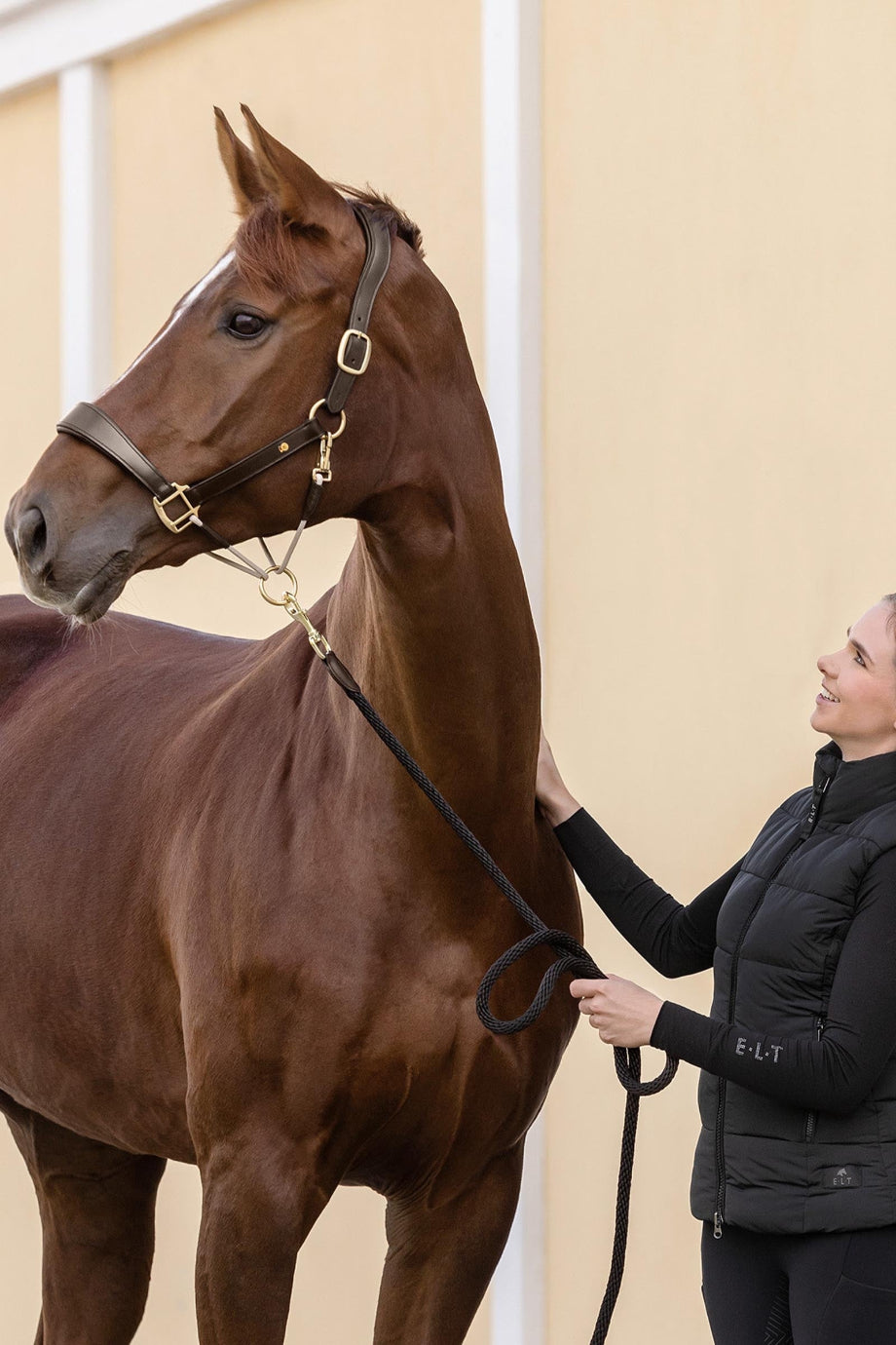 Royal S-Line Anatomik Deri At Halteri