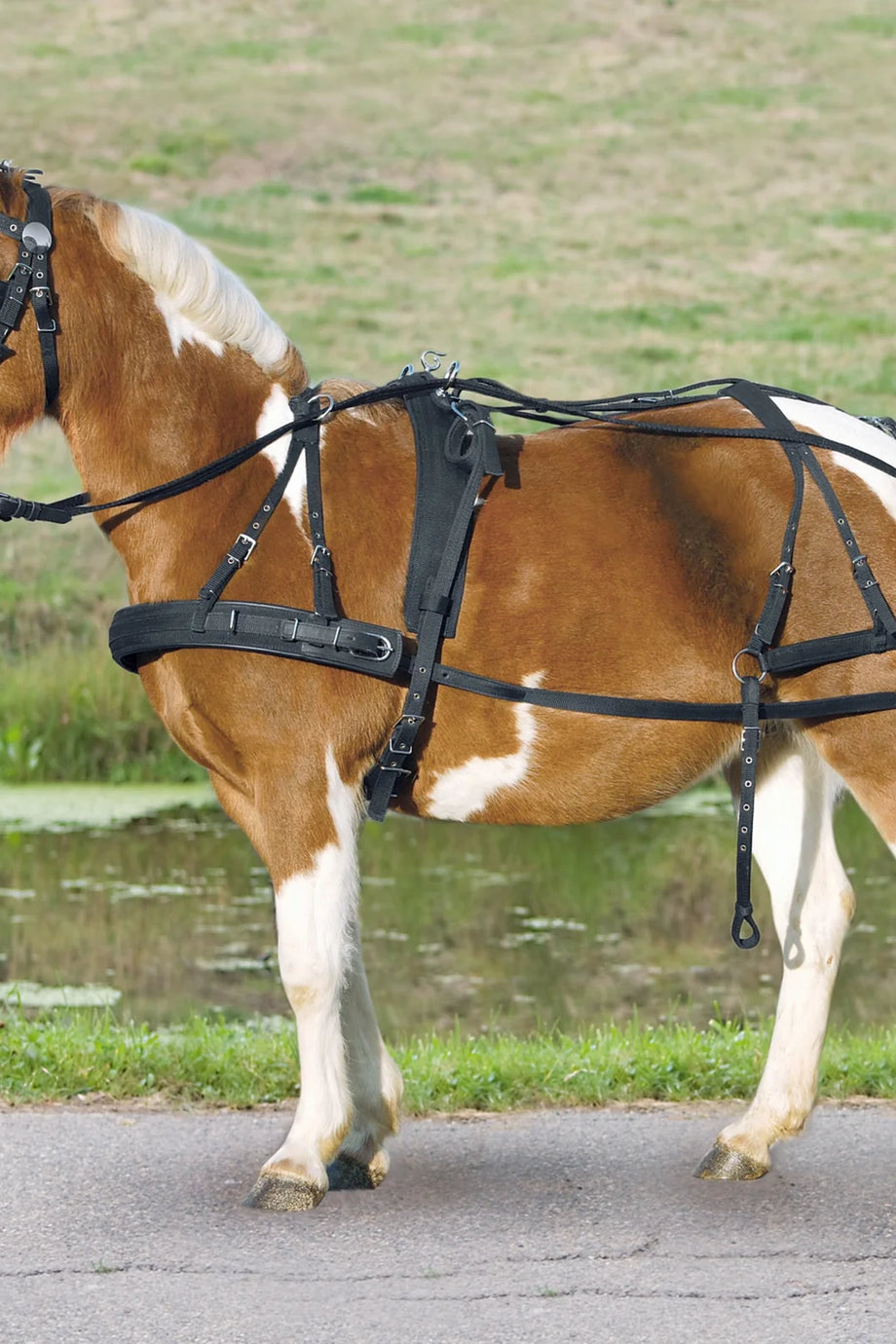 Pony ve Shetland Sentetik Tek At Koşum Takımı