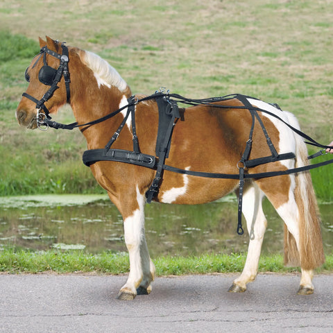 Pony ve Shetland Sentetik Tek At Koşum Takımı