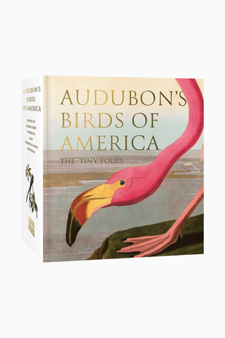 Audubon’s Birds of America The Tiny Folio-Mini Kuş Sanatı Kitabı