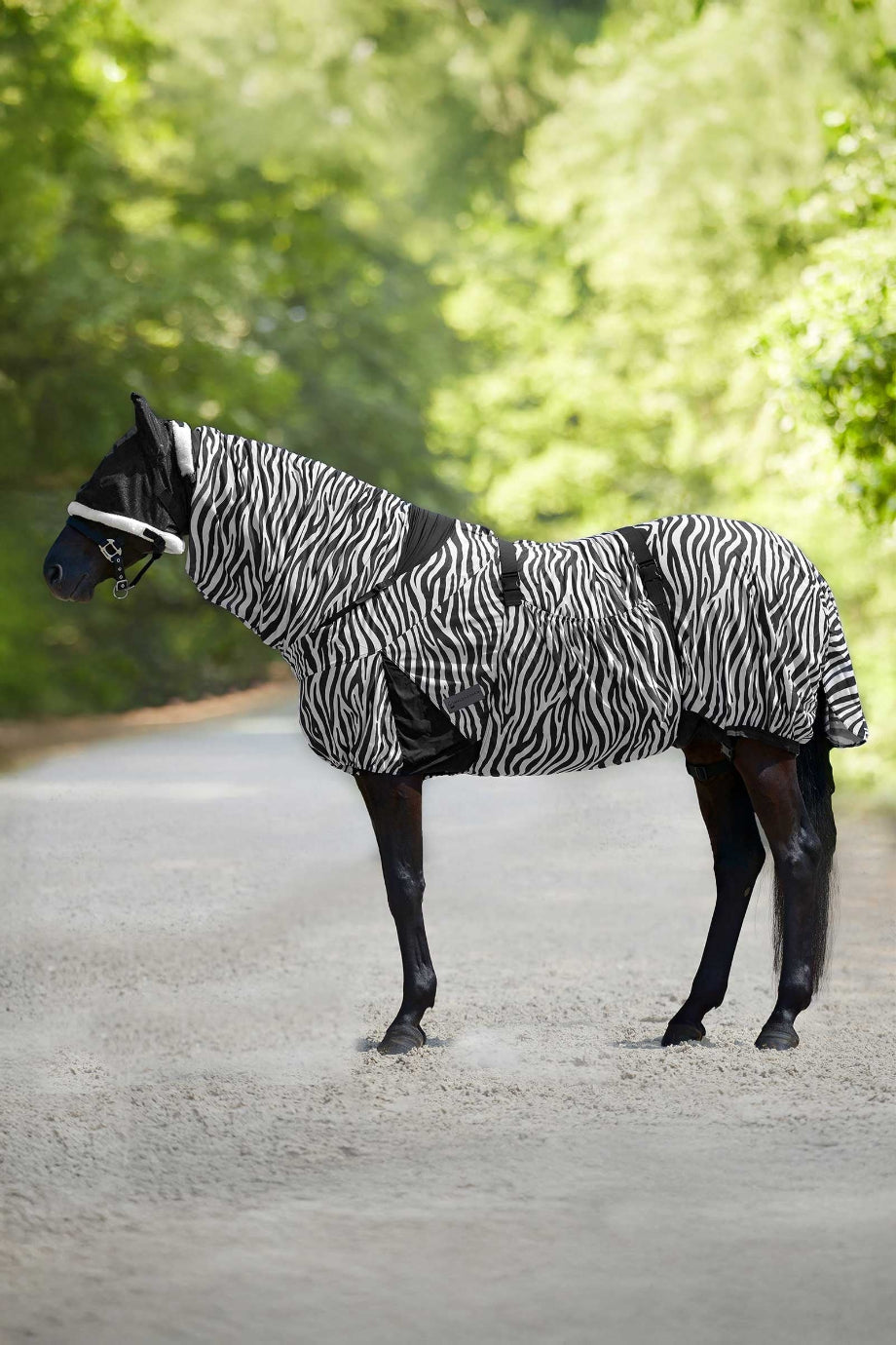 Zebra Ekzem Sinek Koruma At Örtüsü