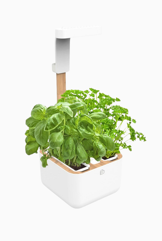 Botaneo® Indoor Akıllı İç Mekân Bitki Yetiştirme Sistemi, Beyaz