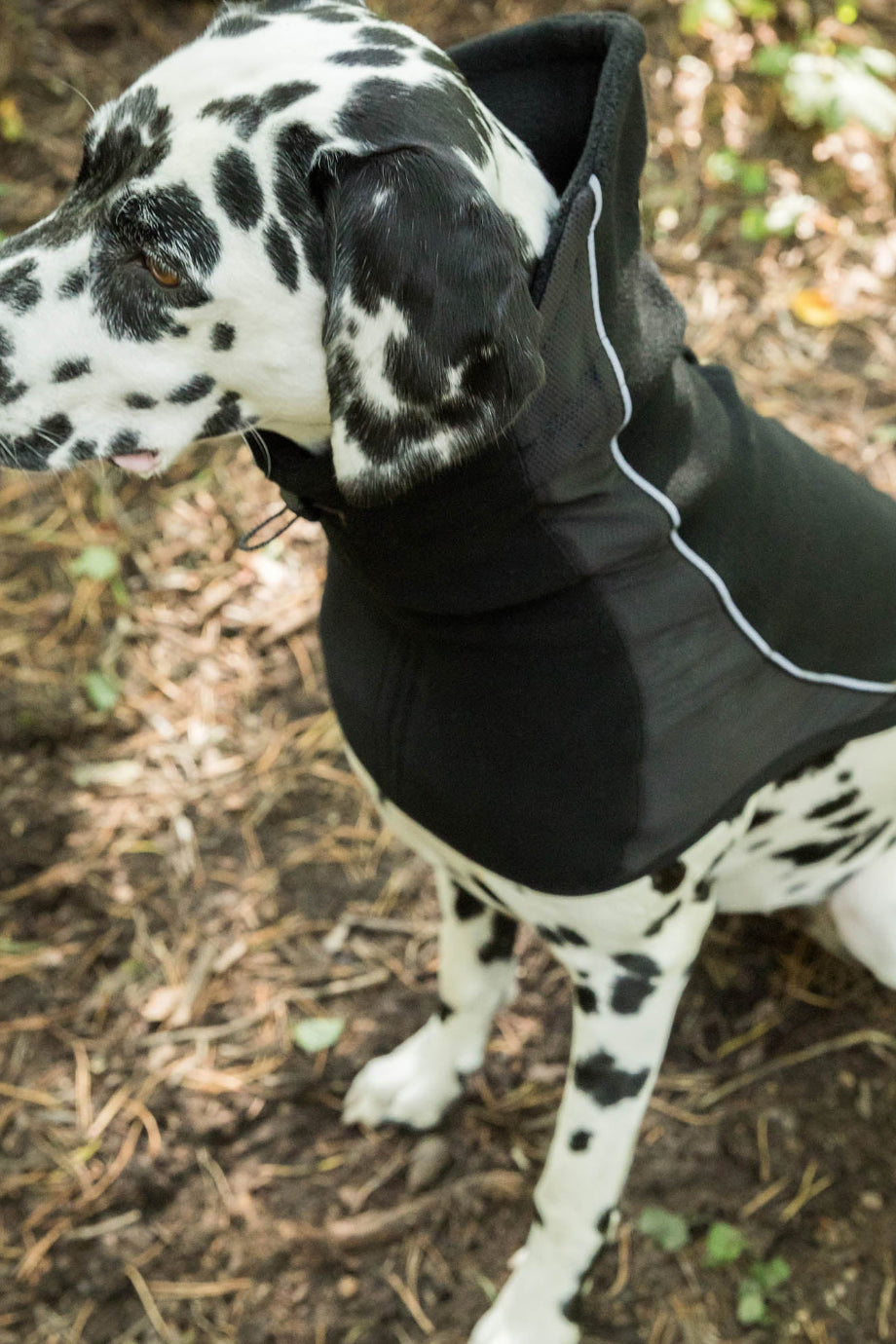 Köpek Boyunluk Benji Sıcak Tutan Welltex Teknoloji