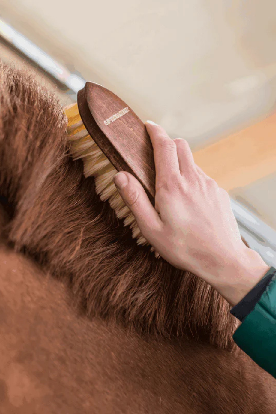 Dandy Brush Perlon Derin Temizlik İçin Dayanıklı At Bakım Fırçası