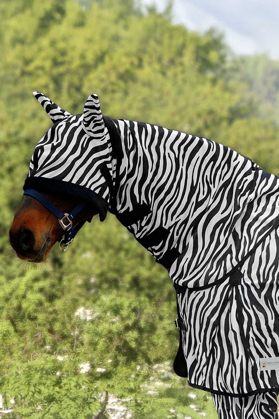 Zebra Desenli At Sinek Boyunluğu