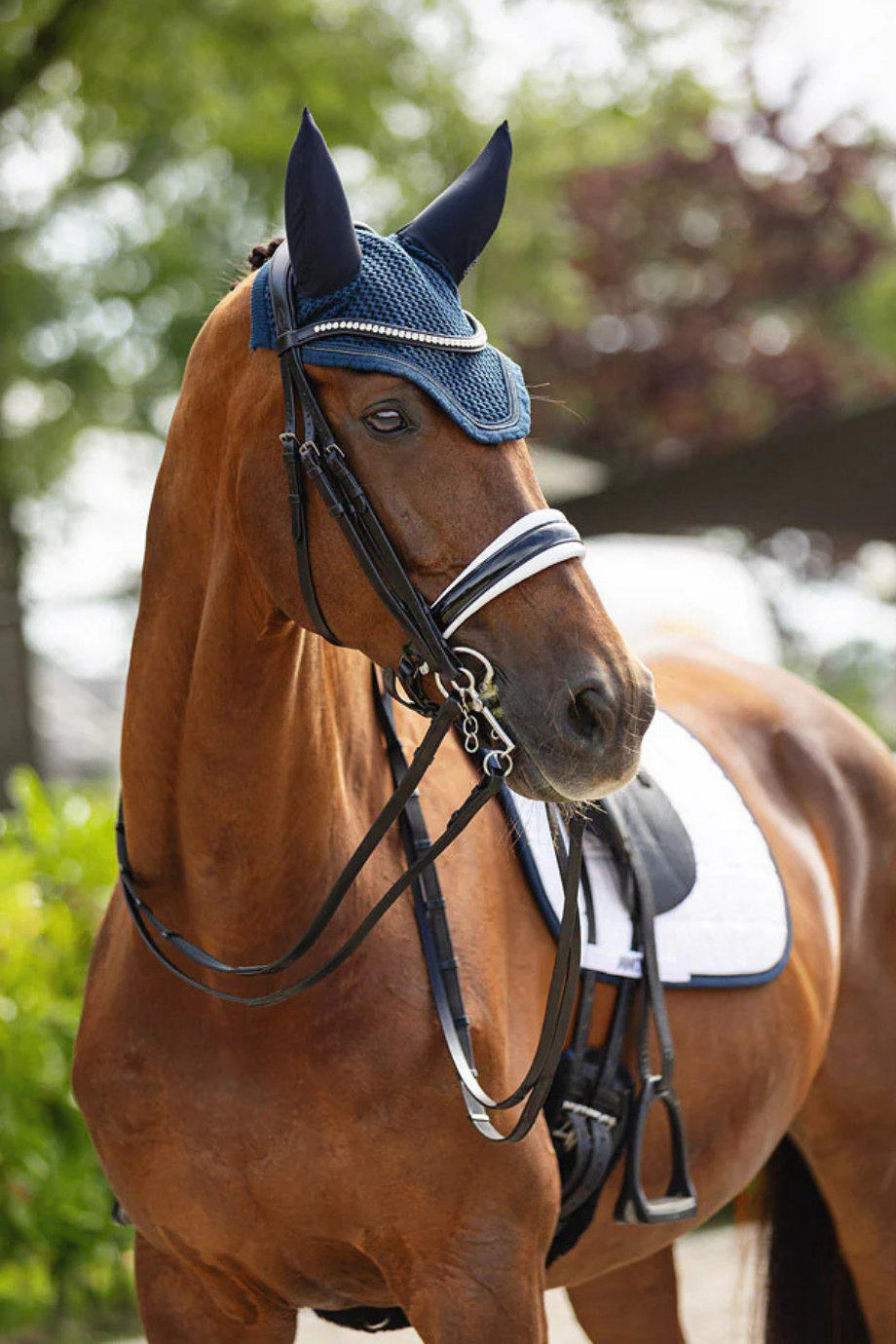 Extra Wide Bridle Anatomik Tasarım İtalyan Deri At Dizgini ve 2 Çift Reins