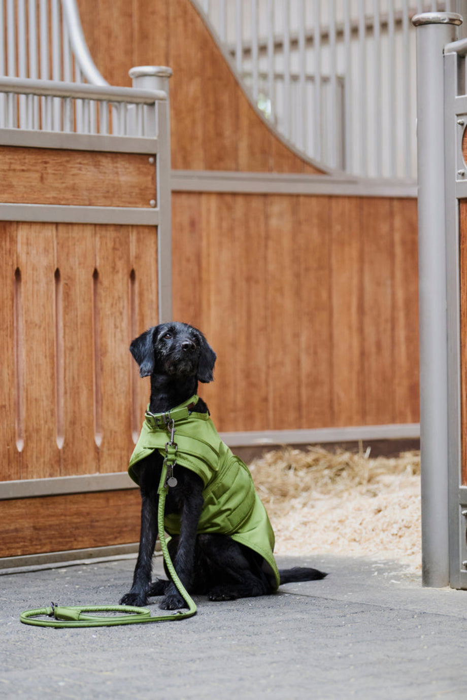 Platinum 24 1680D TeddyFleece Köpek Montu Moss Green