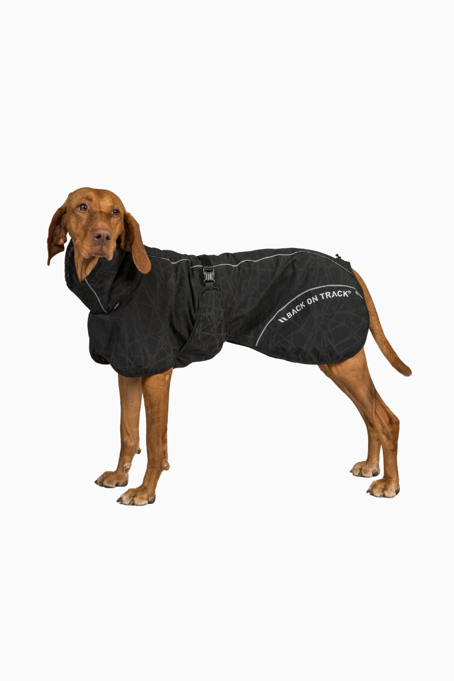 Su Geçirmez Köpek Yağmurluğu Fusiontex 10.000 mm