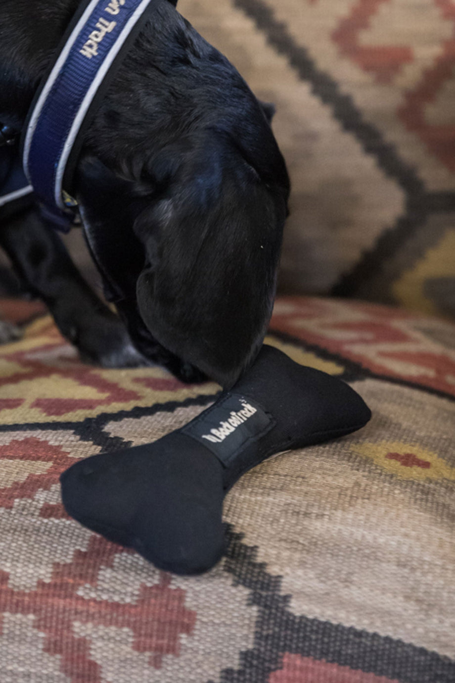 Köpek Oyuncağı Soft Bone Dayanıklı Çiğneme Oyuncağı 25 cm