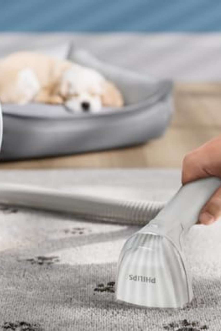 3000 Series Yıkama Vakum Temizleyici, Leke Çıkarma, Otomatik Temizleme