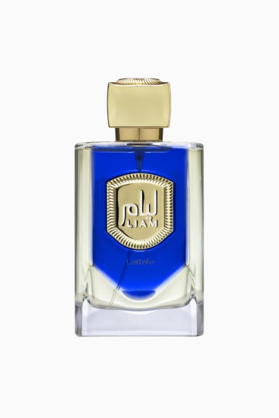 Liam Blue Shine EDP Aromatik-Ferah Unisex 100 ml Parfüm