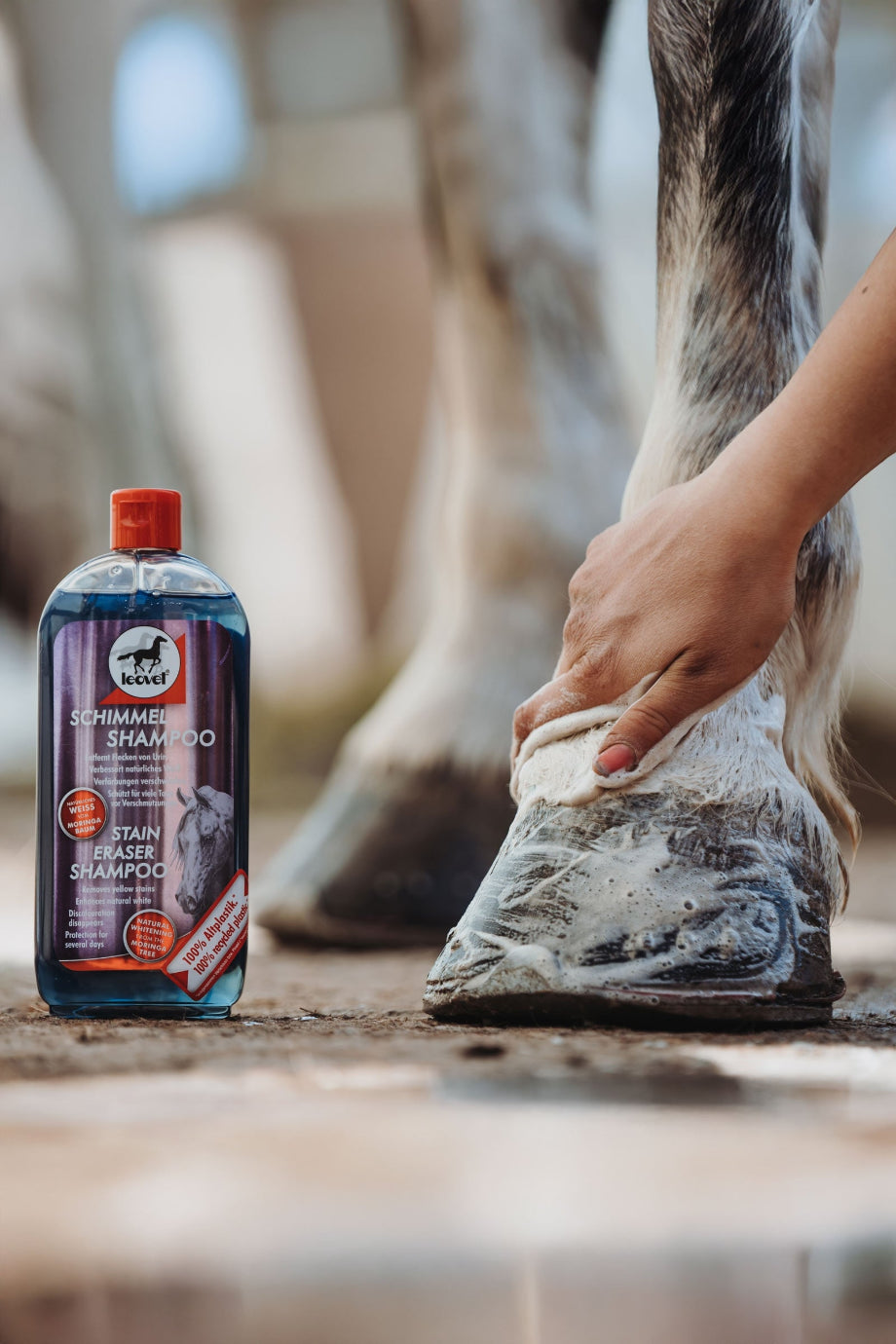 Schimmel Leke Giderici Şampuanı Beyaz Atlar İçin 500 ML