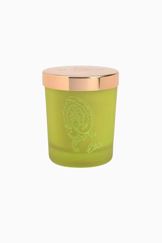 Dafne Kokulu Mum, Tek Fitil, Metal Kapak ve Canlı Narenciye Esintisi