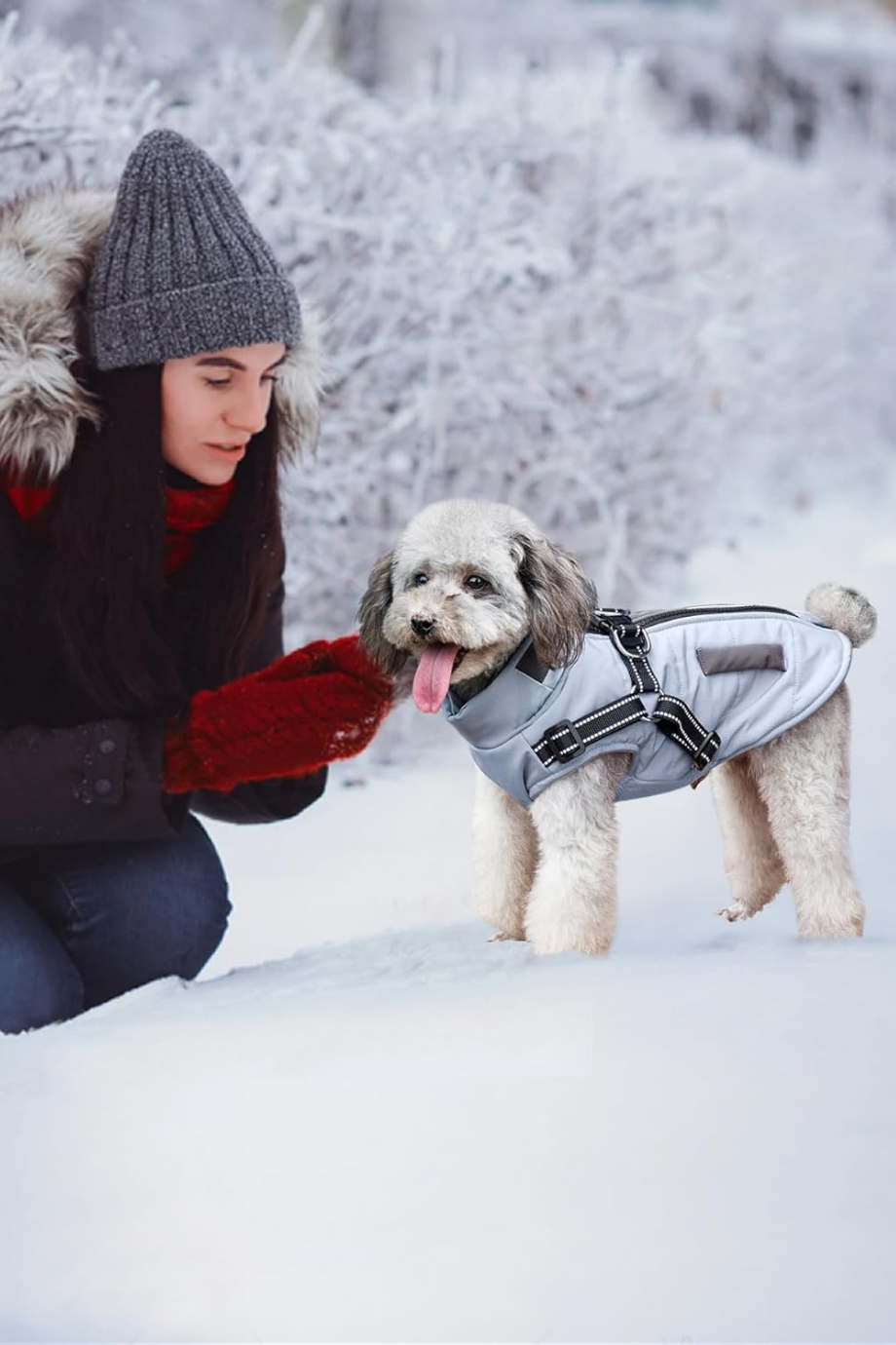 Su Geçirmez Reflektörlü Köpek Kışlık Montu