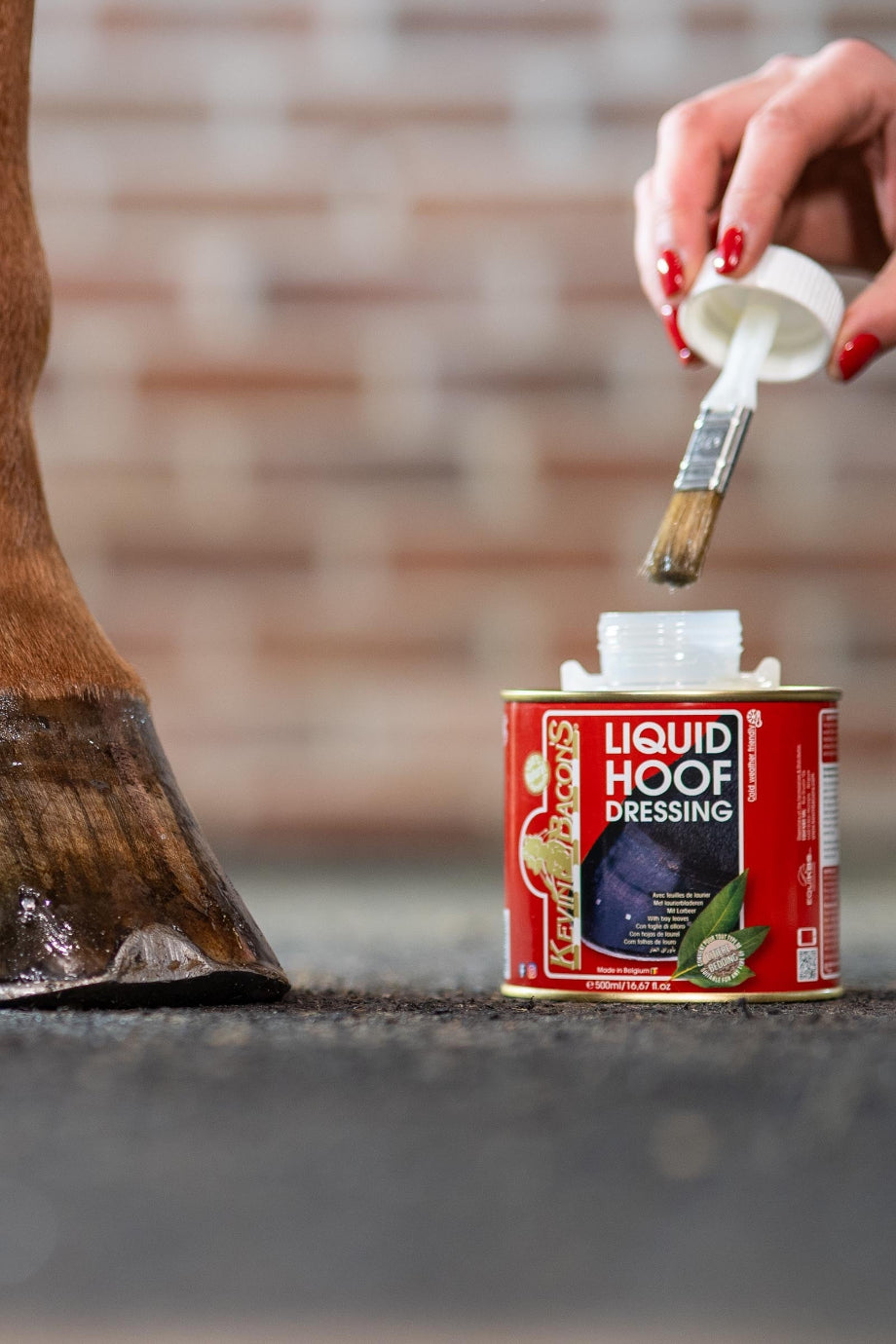 Liquid Hoof Dressing Sıvı At Toynak Bakım Yağı 500 ml