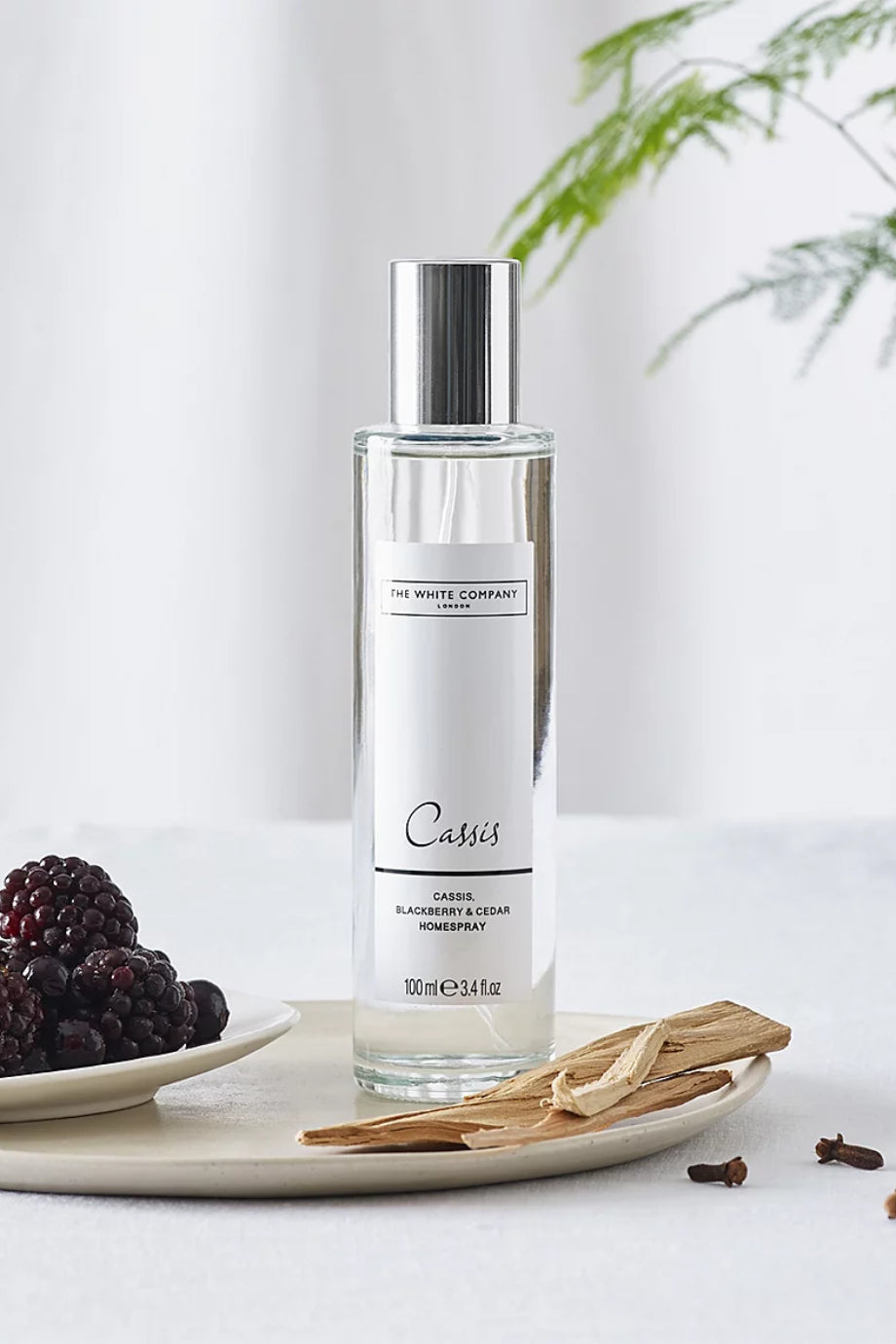 Cassis Oda Spreyi 100 ml
