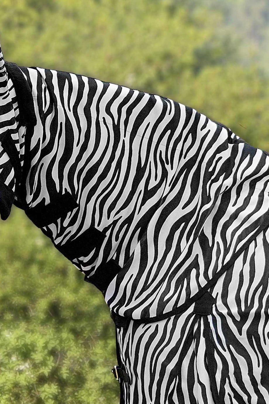 Zebra Desenli At Sinek Boyunluğu