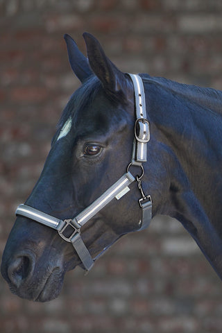 Reflex Stripe Reflektif At Halteri