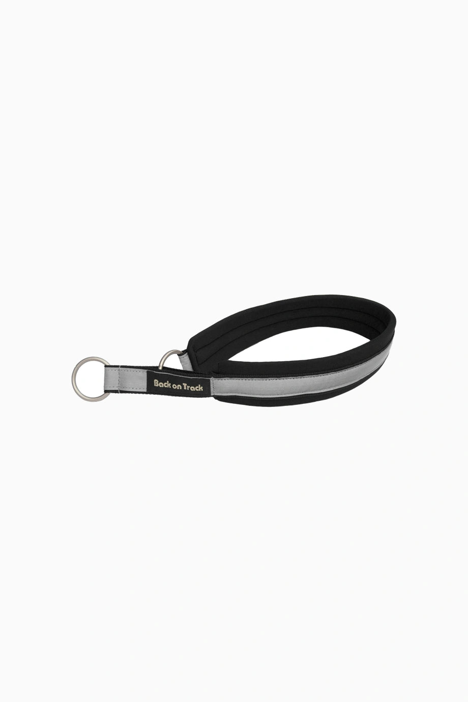 Molly Welltex™ Köpek Boyun Tasması