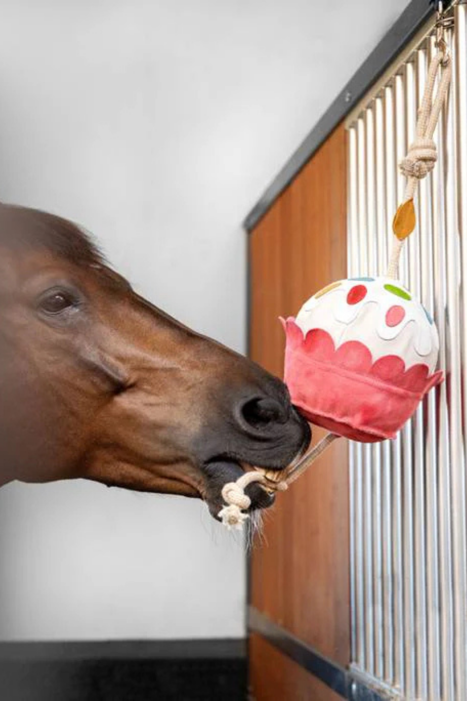 Cupcake Oyuncak Asmalı At Ahır Eğlence Oyunu