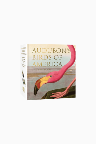 Audubon's Birds of America: The Tiny Folio, Kuş Sanatının Mini Şaheseri