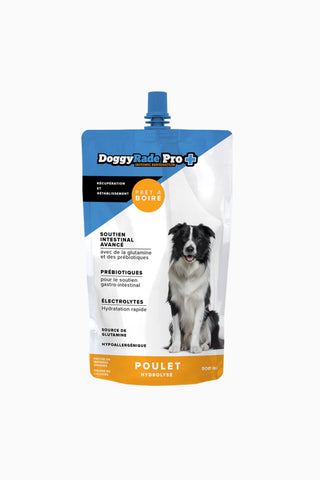 Pro+ Bağırsak Destekleyici Köpek İçeceği 500 ml