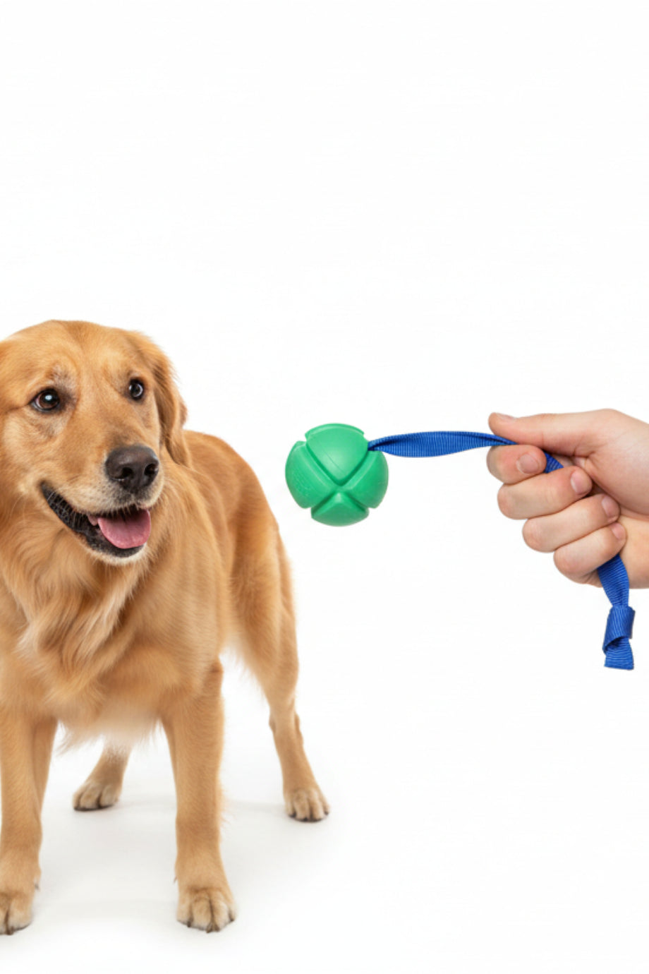 Köpek Oyuncağı FloTek Top Çekme İpli