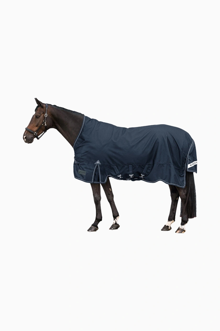 Scandic High Neck 100g Su Geçirmez Outdoor At Örtüsü