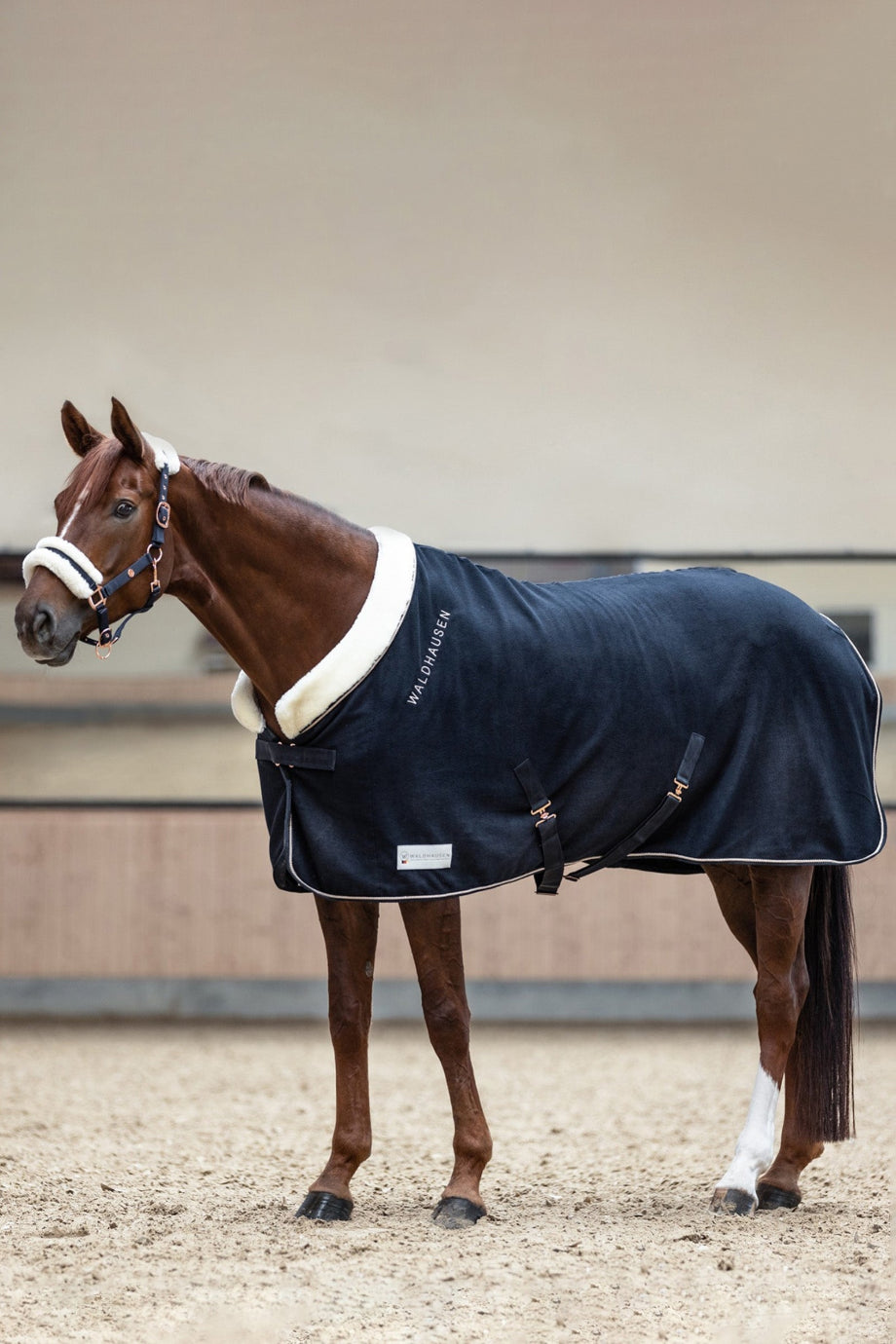 Rosé Modern Fleece Polar At Örtüsü